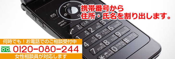 �g�єԍ��@�Z���F���C����̏Z��